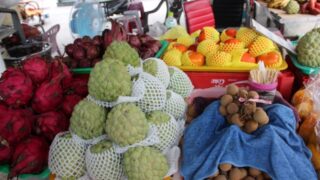 台湾のフルーツの旬がまるわかり!日本へフルーツを持ち帰るには?芒果の産地『玉井』の行き方も!